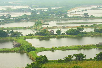 Image showing Fishing ponds and wetland area