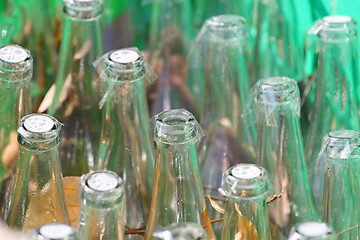 Image showing Many glass bottles