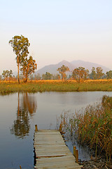 Image showing Hong Kong wetland with lake and wooden pier