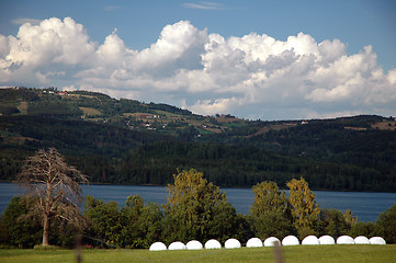 Image showing Norwegian farms, landscape