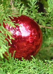 Image showing Christmas tree with Santa Claus reflected