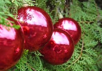 Image showing Christmas tree with Santa Claus reflected