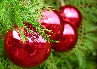 Image showing Christmas tree with Santa Claus reflected