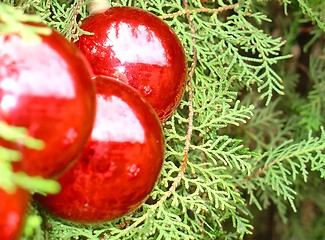 Image showing Christmas tree with Santa Claus reflected