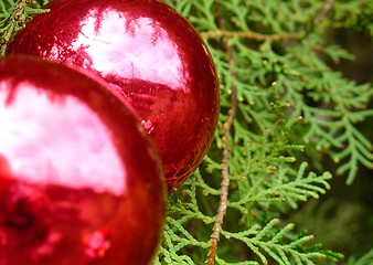 Image showing Christmas tree with Santa Claus reflected