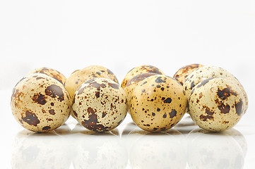 Image showing Quail eggs