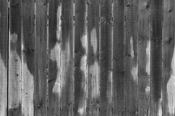 Image showing Wood wet wall