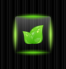 Image showing Transparent frame with green leaves on striped background