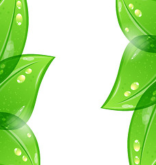 Image showing Abstract eco green background