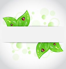 Image showing Eco green leaves with ladybugs sticking out of the cut paper