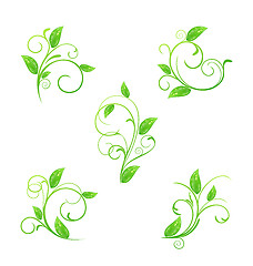 Image showing Set green floral elements with eco leaves isolated