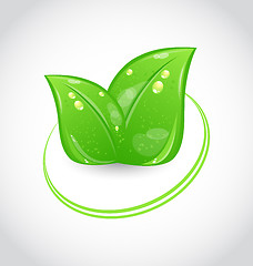 Image showing Eco green design symbol with leaves