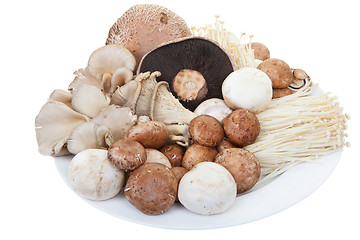 Image showing Mixed mushrooms