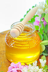 Image showing glass jar full of honey and stick with acacia pink and white  fl