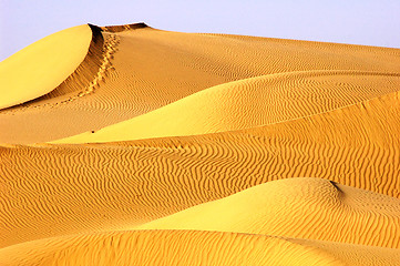 Image showing Landscape of golden desert