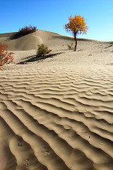 Image showing Landscape of desert