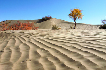 Image showing Landscape of desert