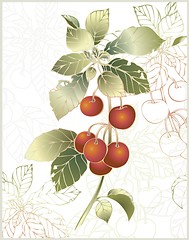 Image showing Illustration cherry. Beautiful decorative card  with cherry.