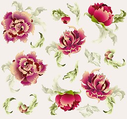 Image showing Seamless background. Illustration peony.