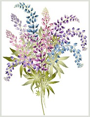 Image showing Background from flower of the lupine . Bouquet from a lupine flower.