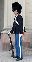 Image showing Royal Danish Guardsman