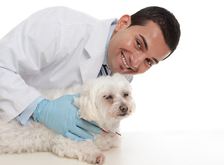 Image showing Friendly caring vet with a sick animal