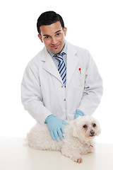 Image showing Friendly vet holding pet animal