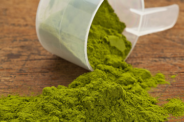 Image showing wheatgrass powder supplement