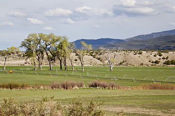 Image showing irrigated meadow in mountain valley