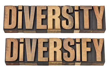 Image showing diversity and diversify words in wood type