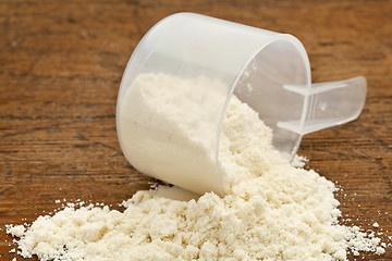 Image showing whey protein powder supplement