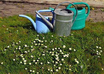 Image showing Garden watering-can spraying tools objects grass 