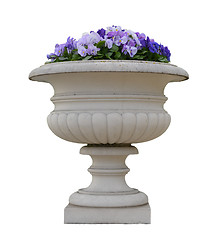 Image showing Masonry pot with viola pansy flowers isolated 