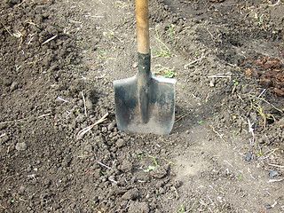 Image showing shovel