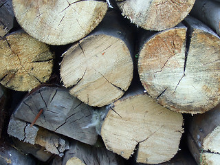 Image showing wood logs