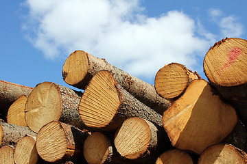 Image showing Wooden logs and fair weather sky