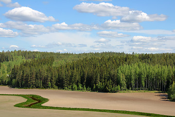 Image showing Agricultural landscape