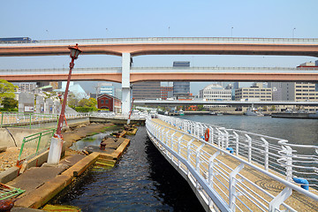Image showing Kobe