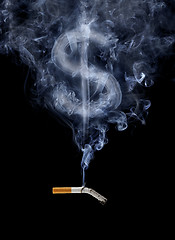 Image showing The Cost of Smoking