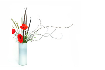 Image showing poppy ikebana