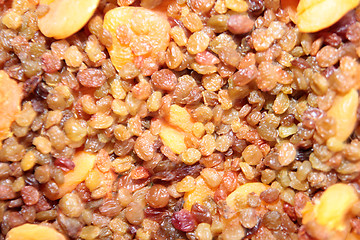 Image showing raisins and dried apricots