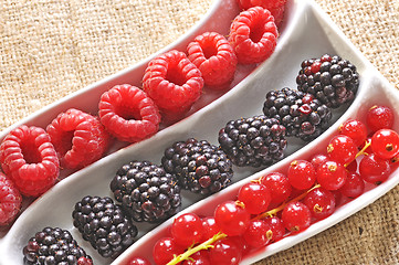 Image showing fresh wild berries