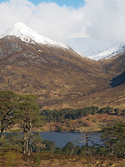 Image showing Loch Affric, Scotland.