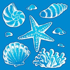 Image showing Sea shells drawings 2