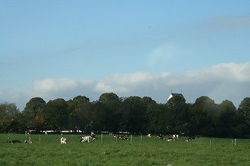 Image showing Landscape in Sweden