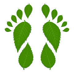 Image showing Green footprint