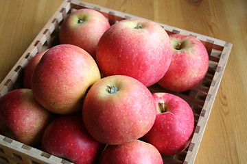 Image showing Apples in basket