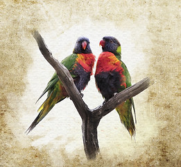 Image showing Grunge  Background With Parrots
