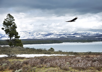 Image showing High Mountain Landscape