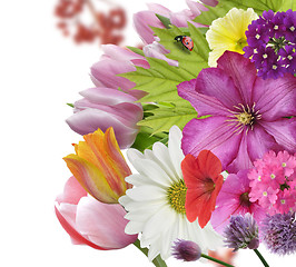 Image showing Flower Background